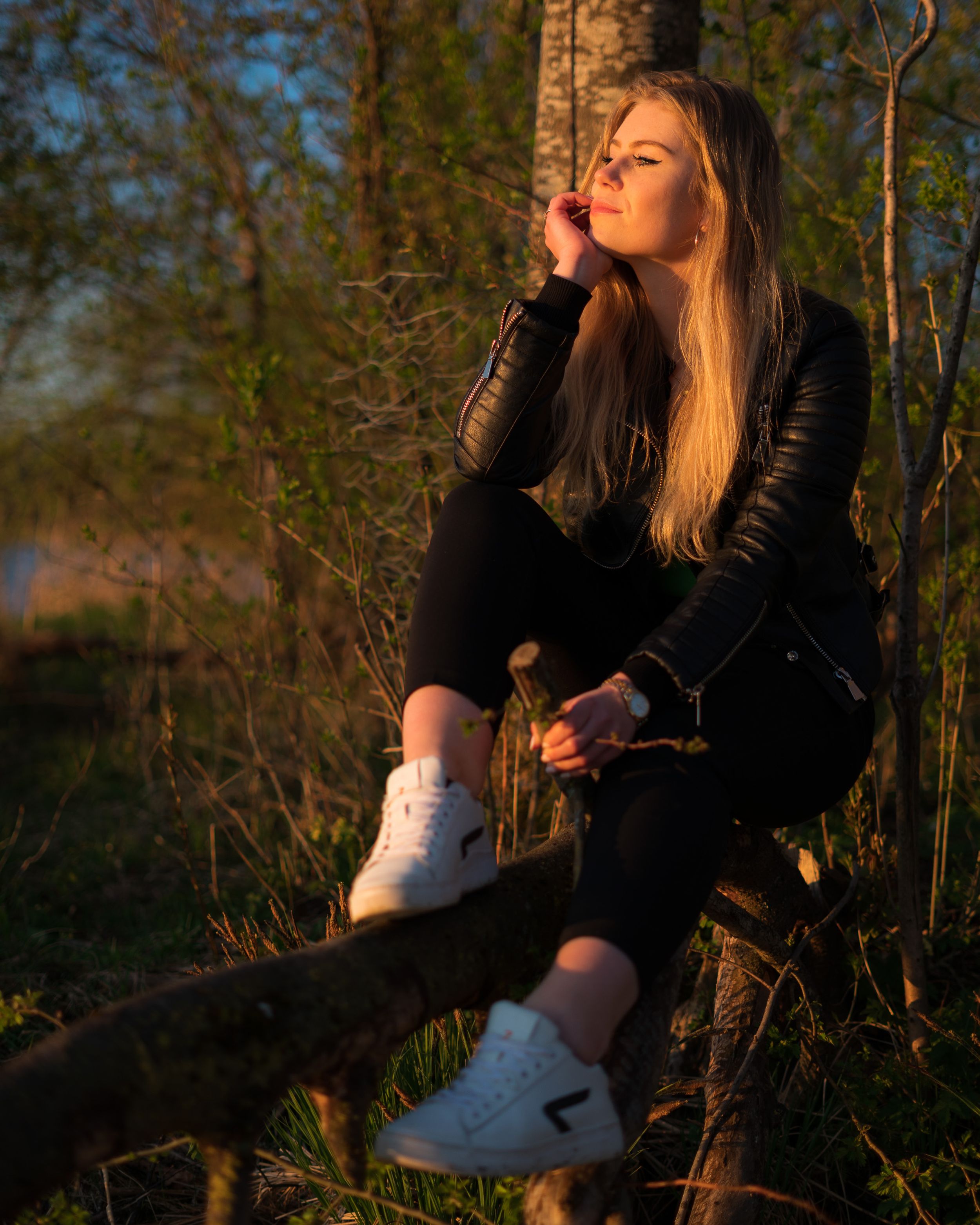 Isabelle